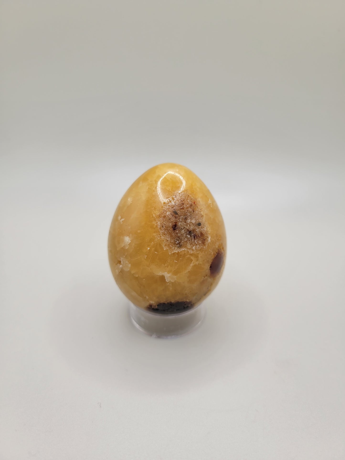 Septarian Egg - Small