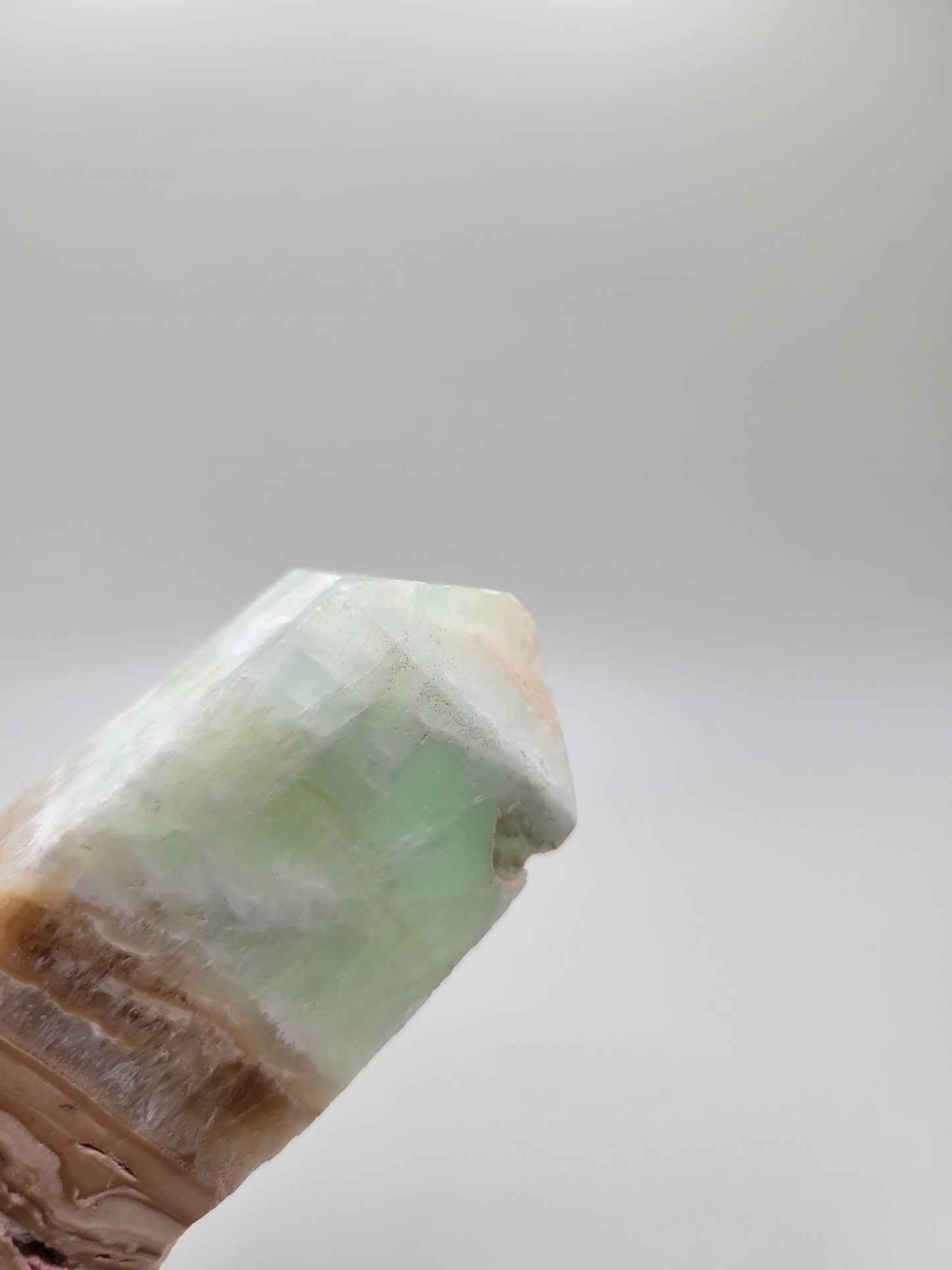 Caribbean Calcite Tower A