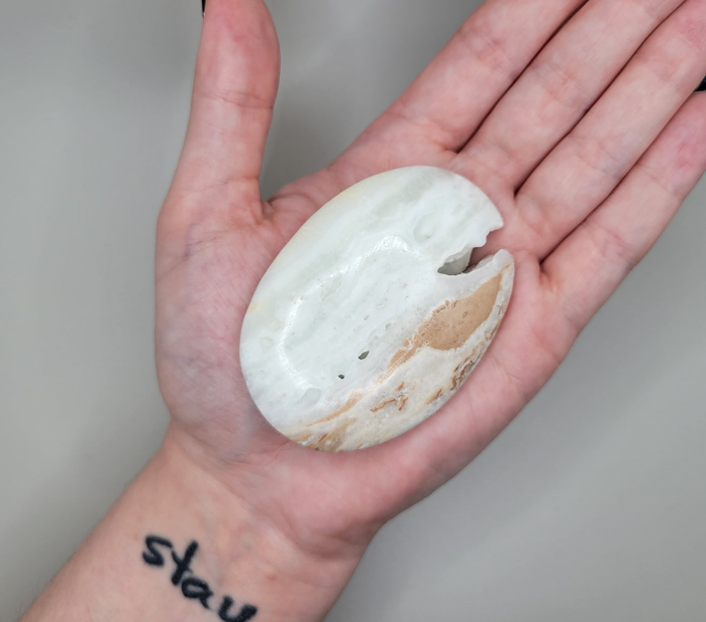 Caribbean Calcite Palm Stones