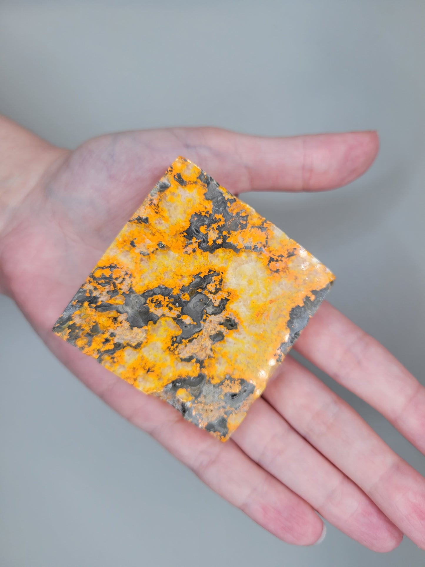 Bumblebee Jasper Slab E