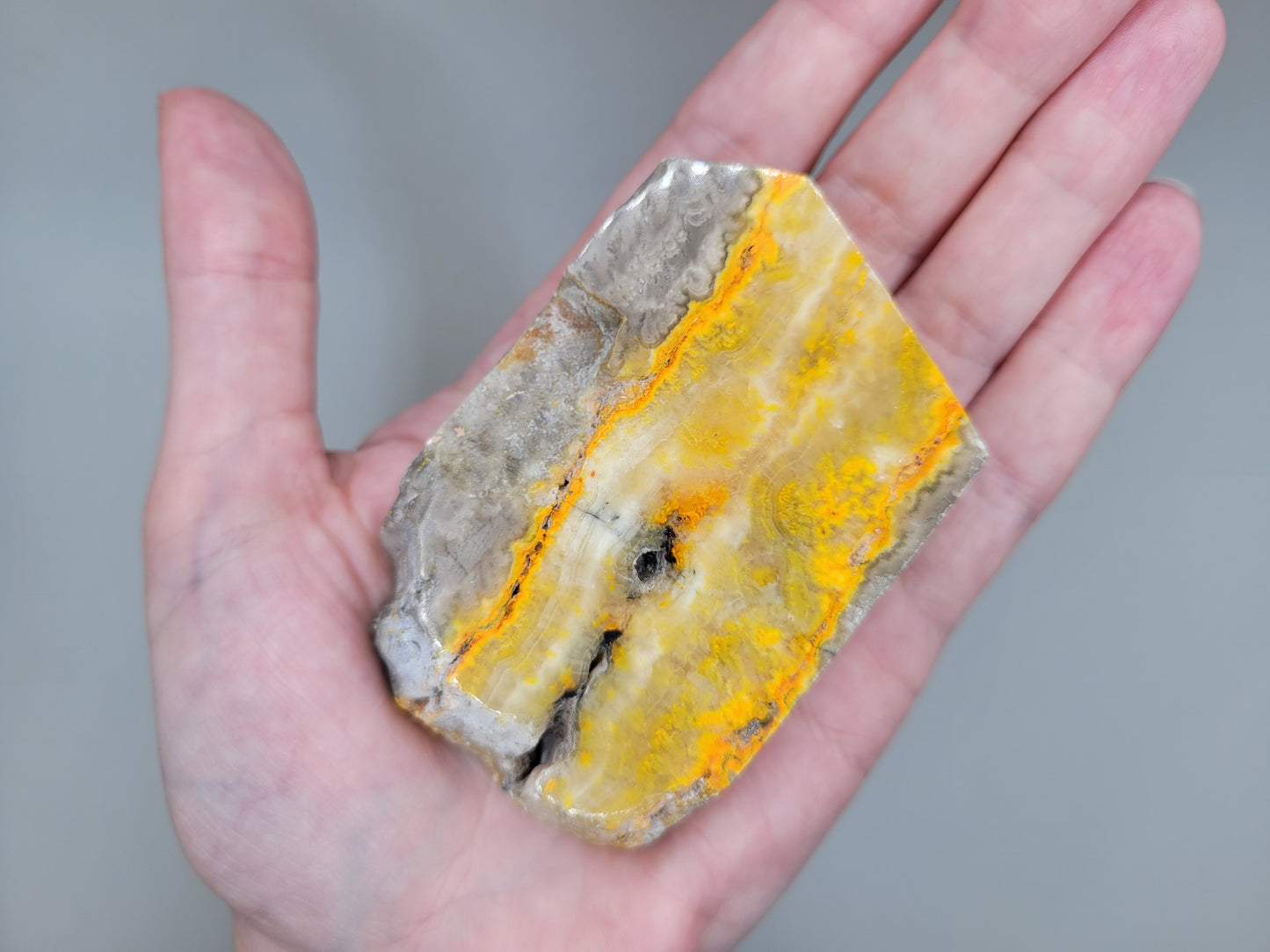 Bumblebee Jasper Slab A