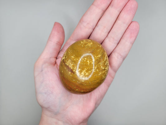 Ocean Jasper Palm Stone