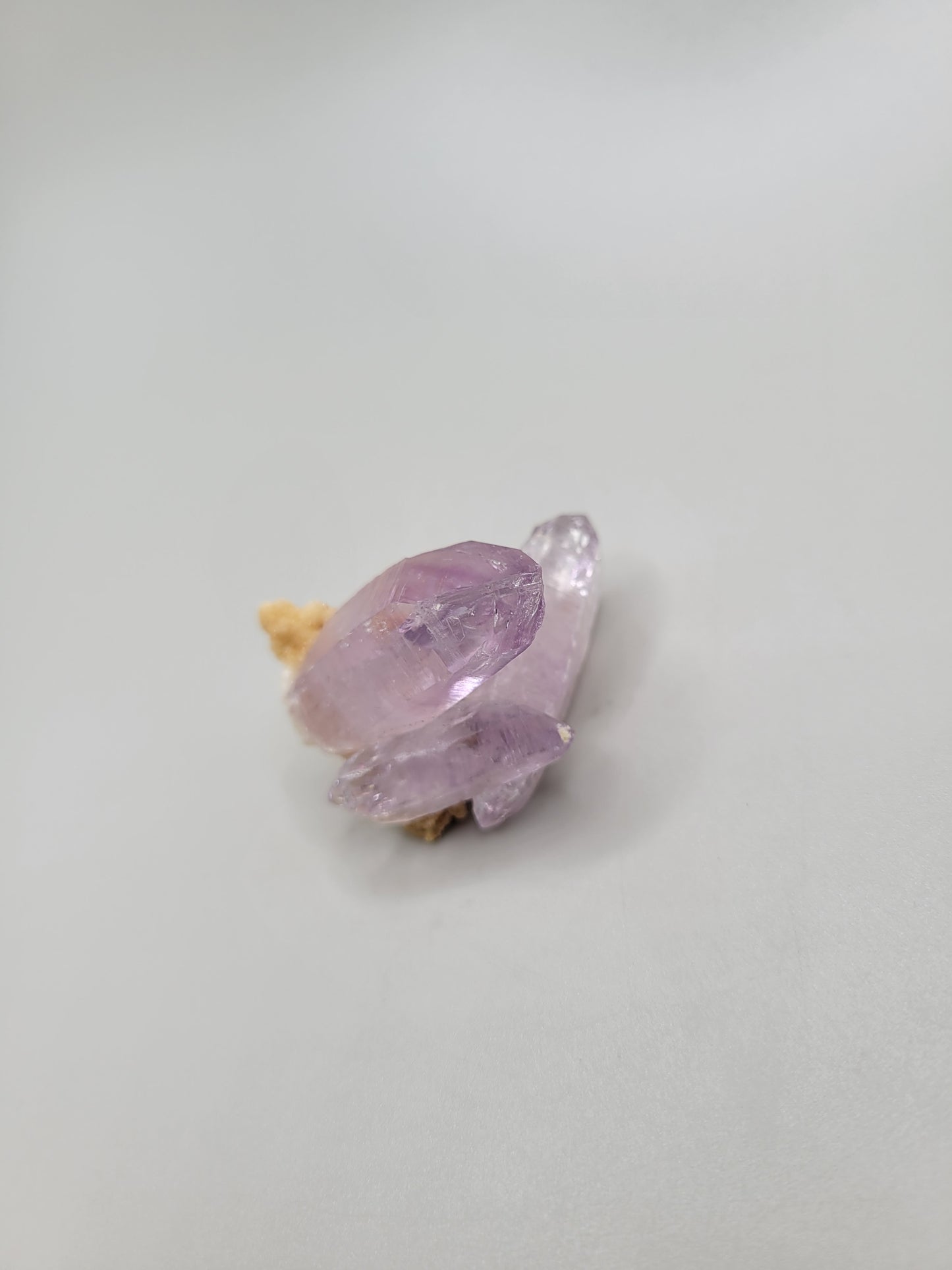 Vera Cruz Amethyst Cluster