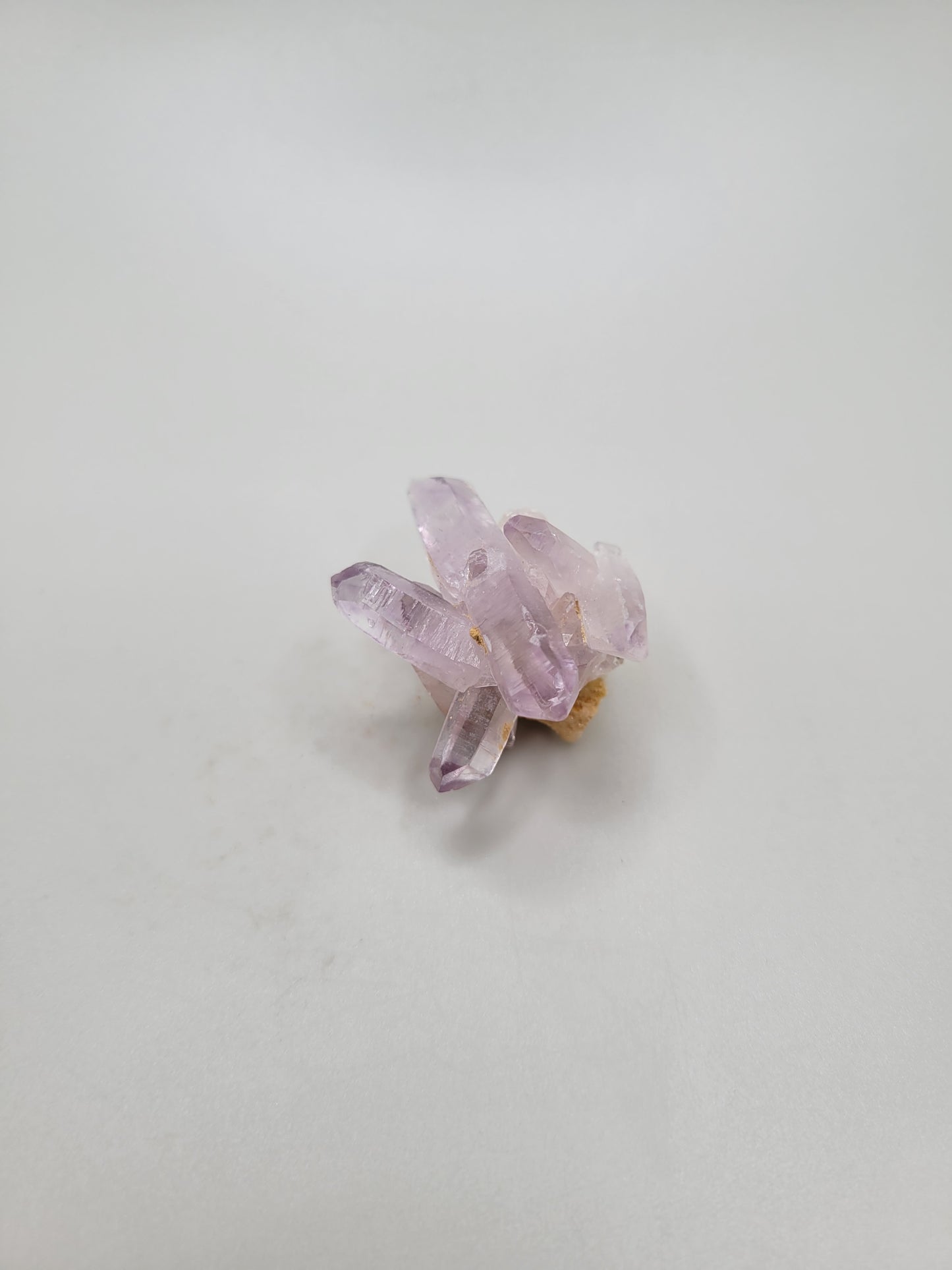 Vera Cruz Amethyst Cluster