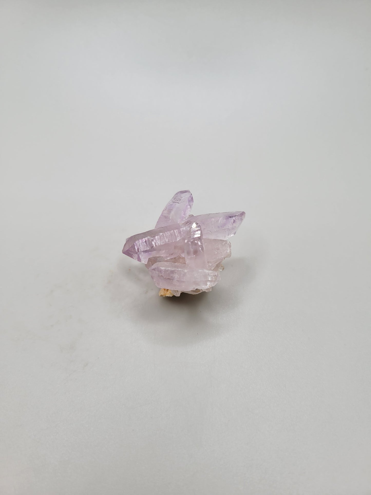 Vera Cruz Amethyst Cluster