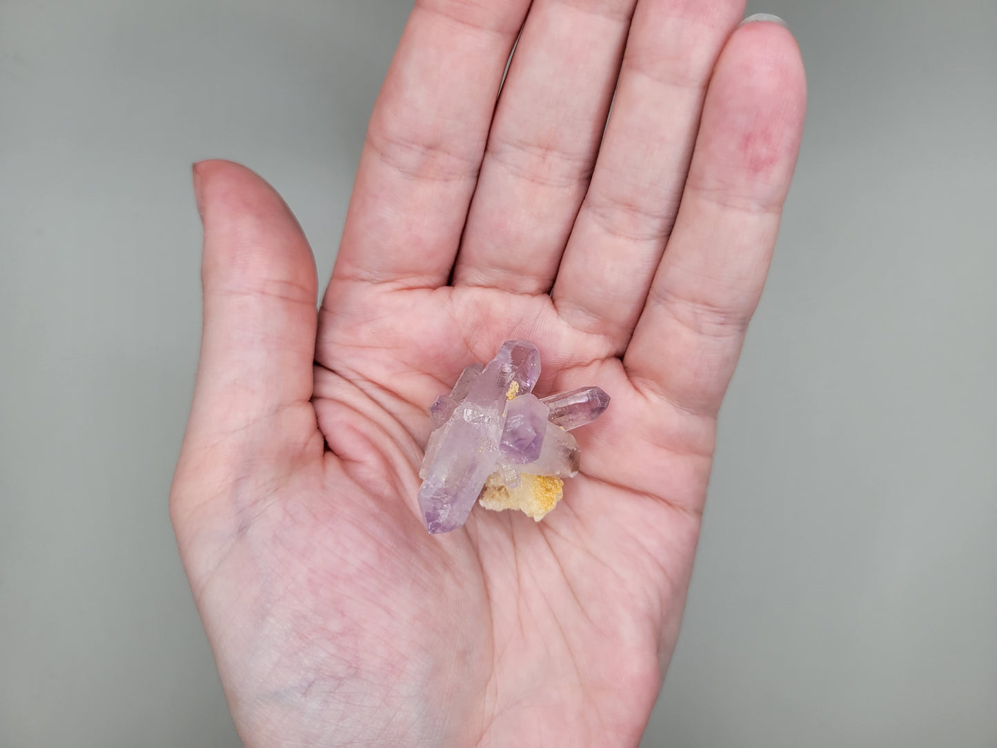 Vera Cruz Amethyst Cluster