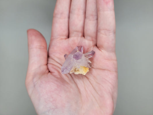 Vera Cruz Amethyst Cluster