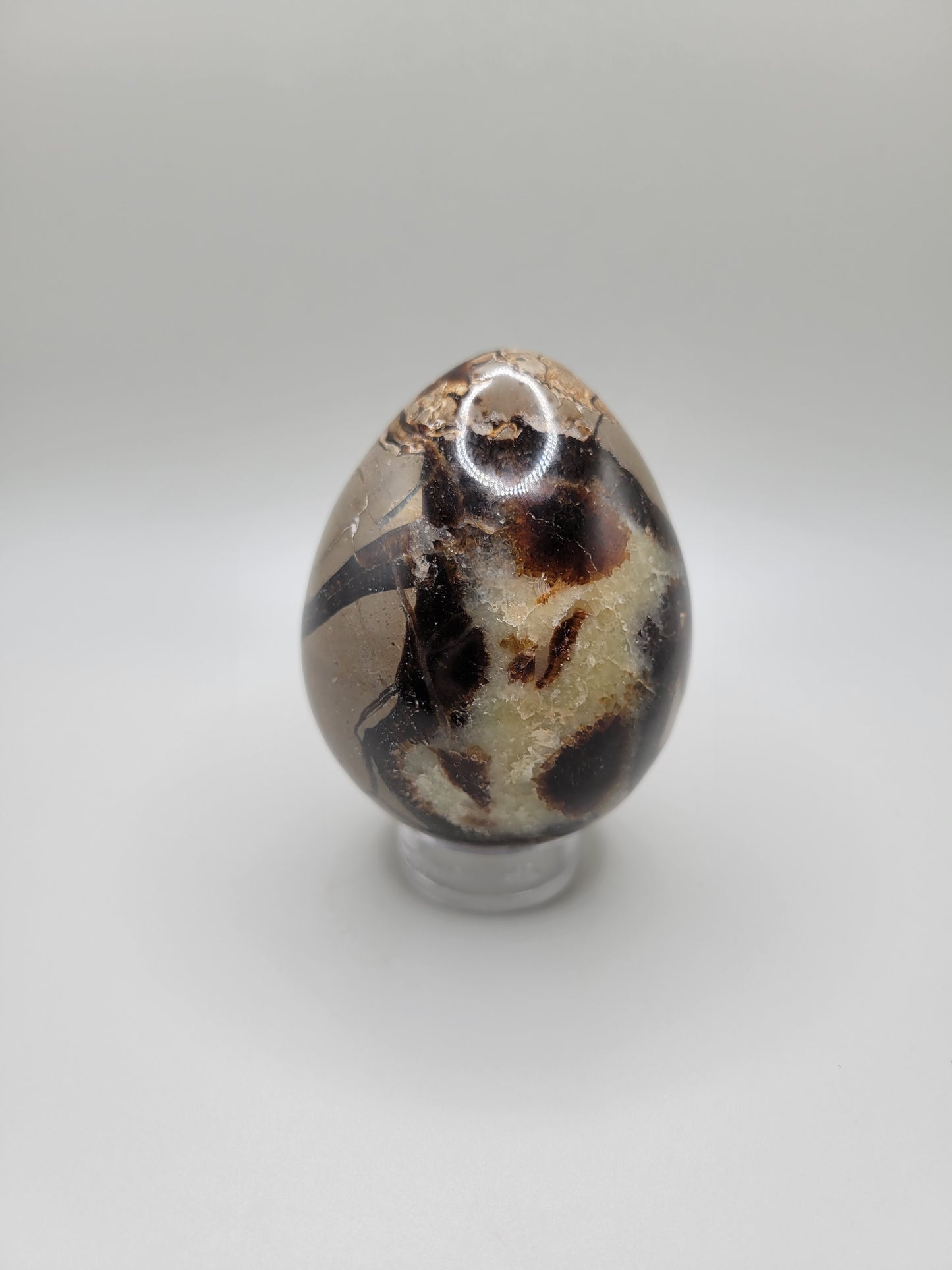 Septarian Eggs - Large