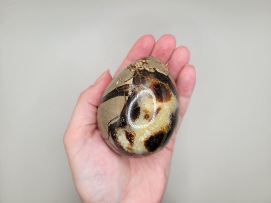 Septarian Eggs - Large
