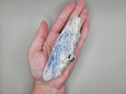 Blue Kyanite Freeform - Large