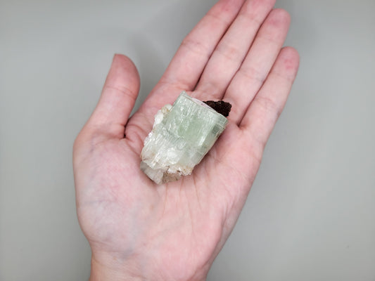 Green Apophyllite Freeform