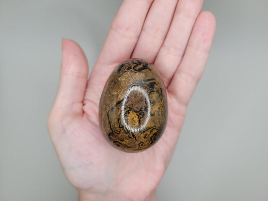 Stromatolite Egg