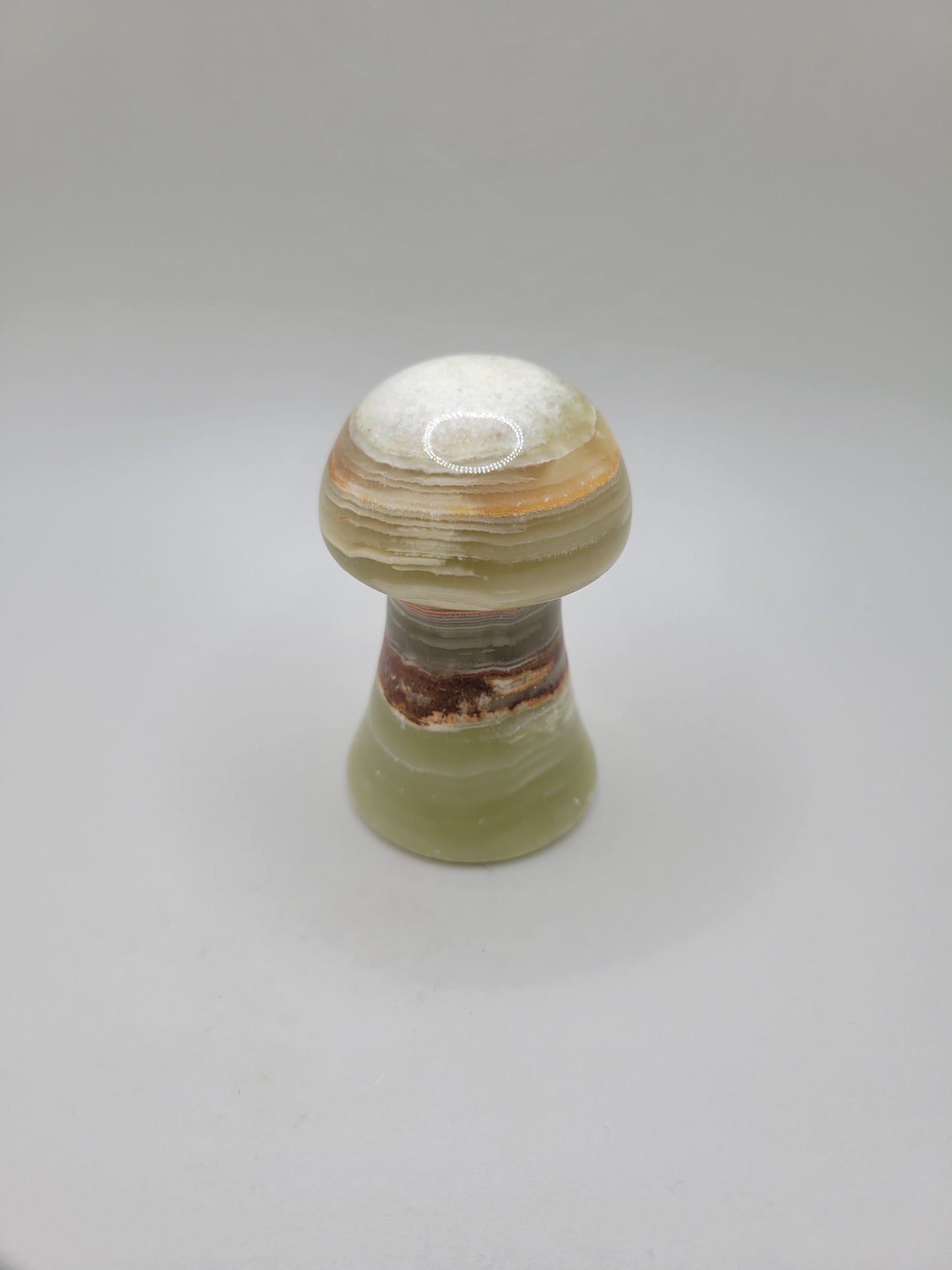 Green Banded Onyx Mushroom