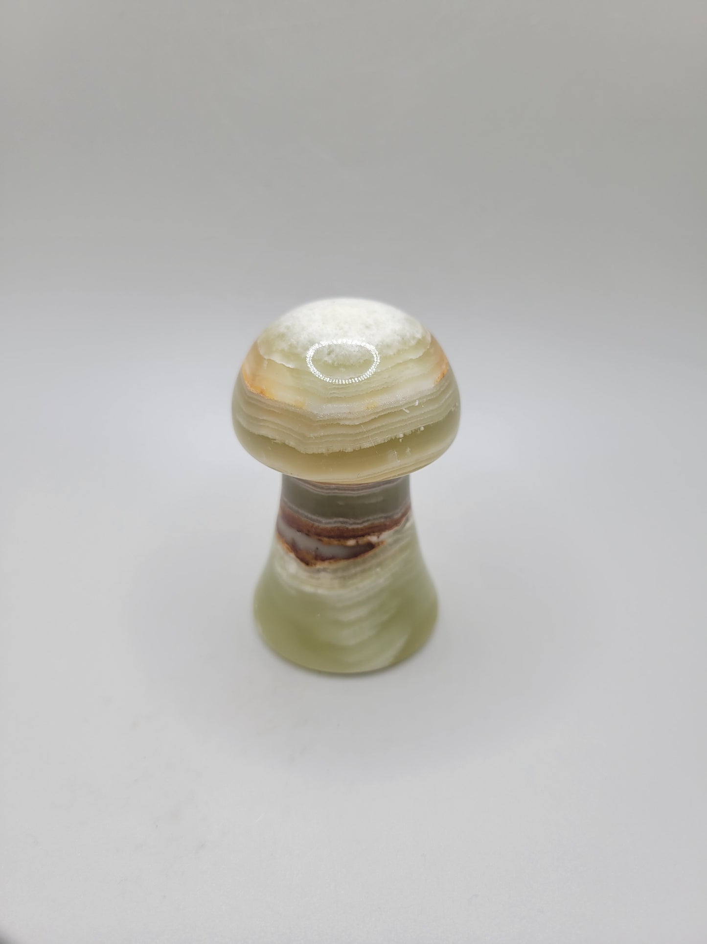 Green Banded Onyx Mushroom
