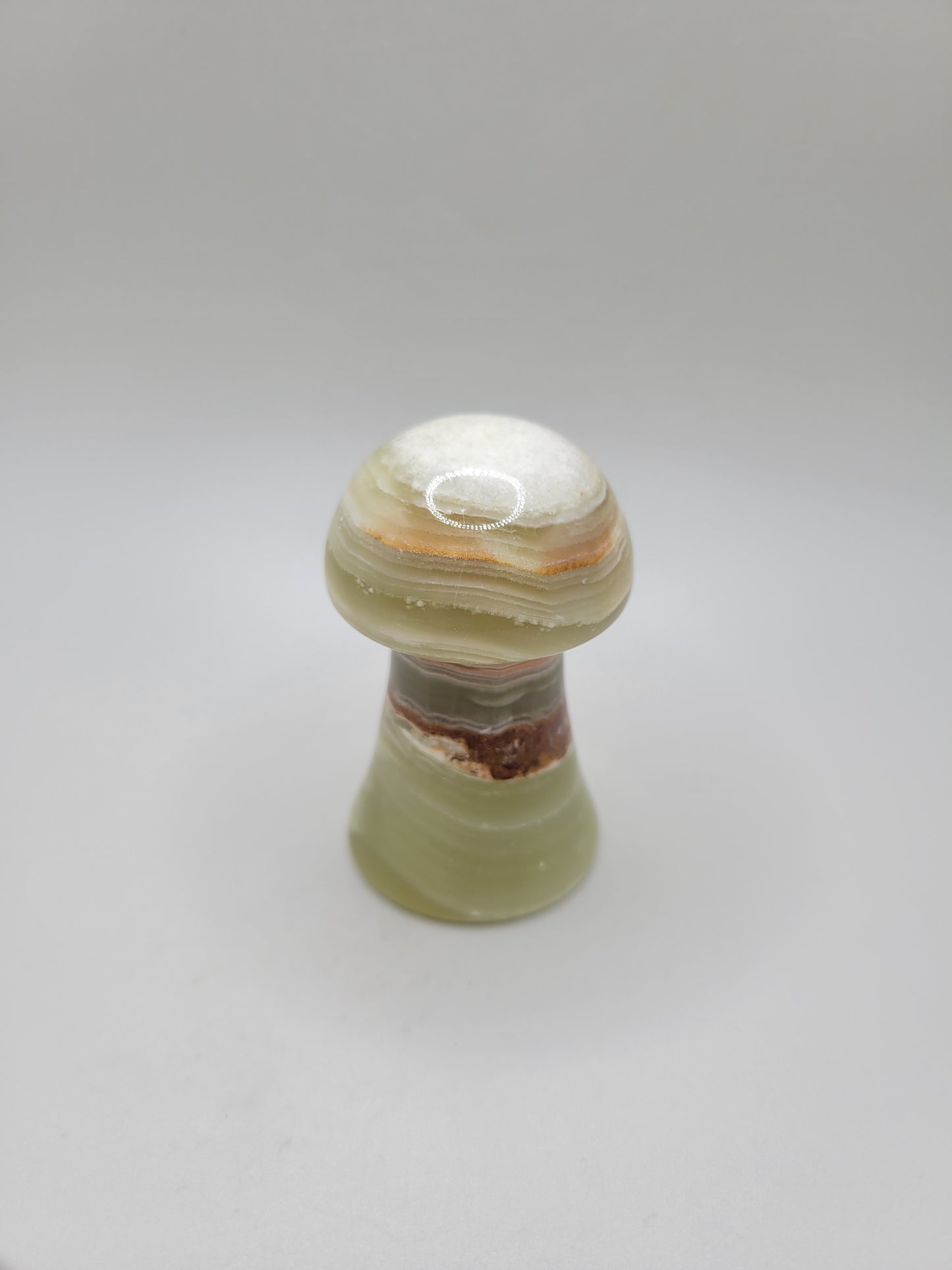 Green Banded Onyx Mushroom