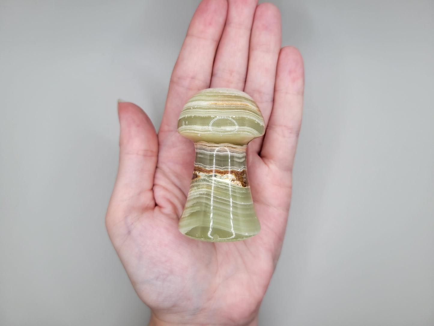 Green Banded Onyx Mushroom