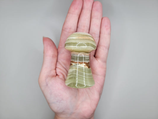 Green Banded Onyx Mushroom