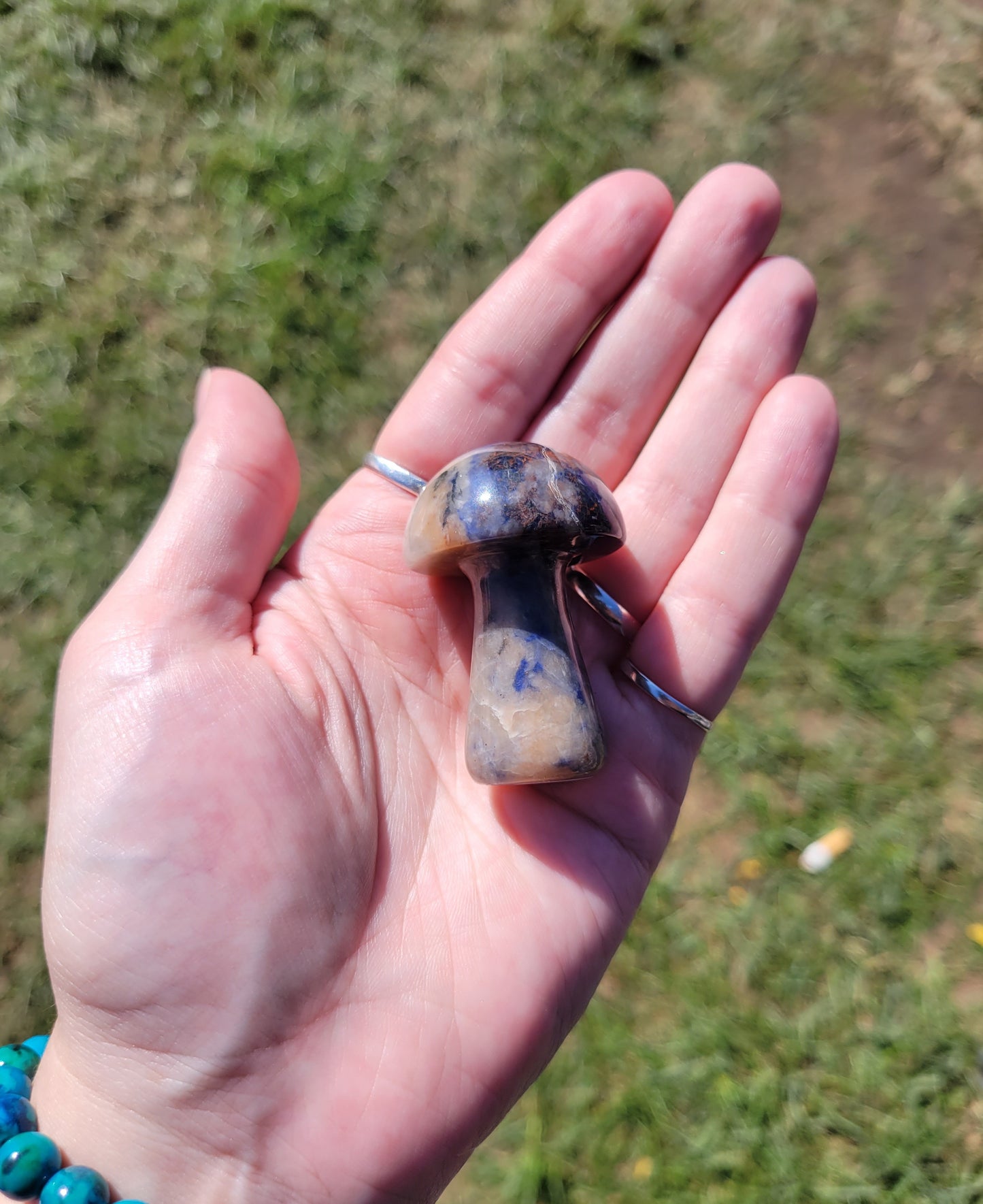 Sodalite Mushroom