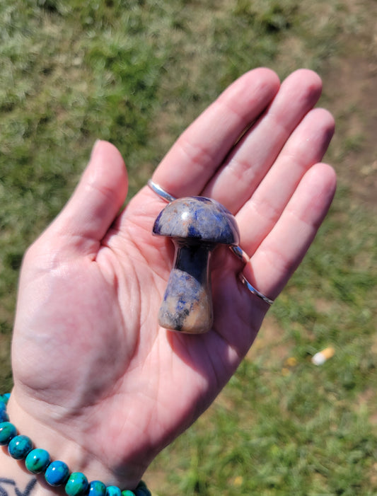 Sodalite Mushroom