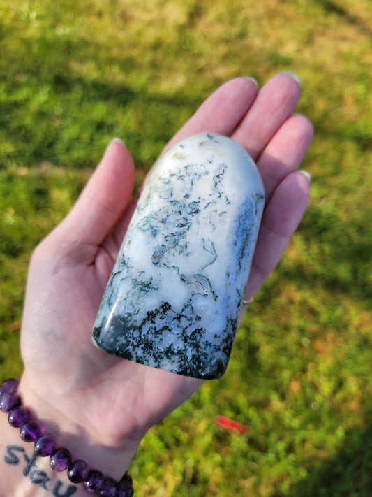 Tree Agate Boulder