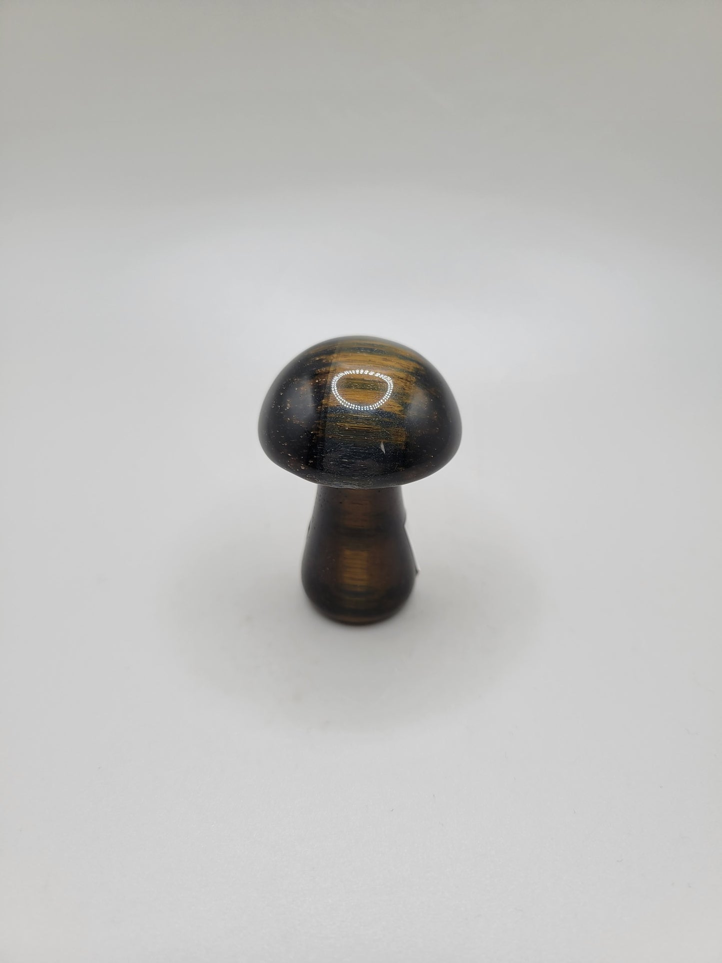 Blue Tigers Eye Mushroom