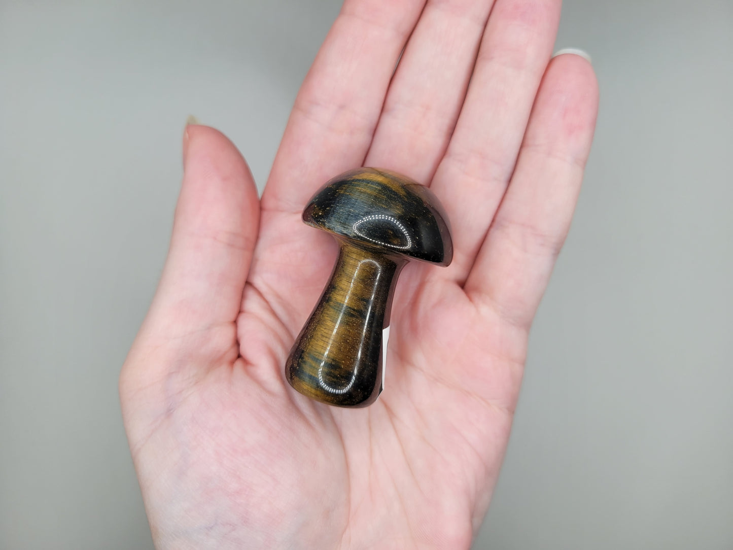 Blue Tigers Eye Mushroom