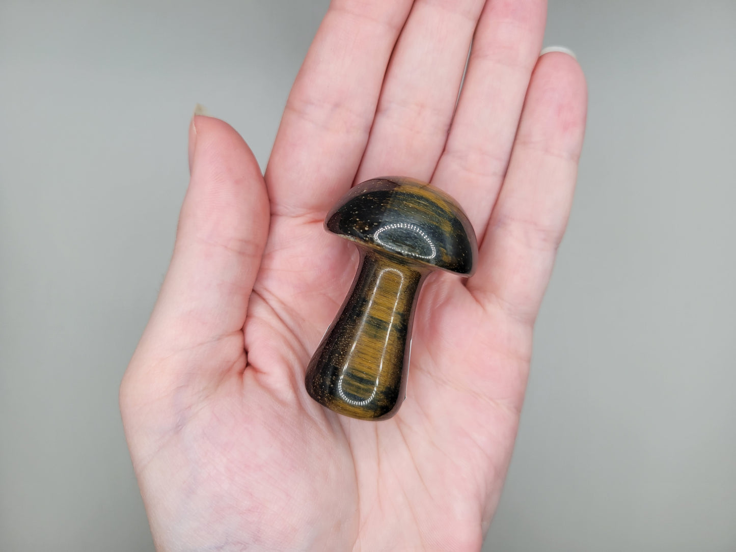 Blue Tigers Eye Mushroom