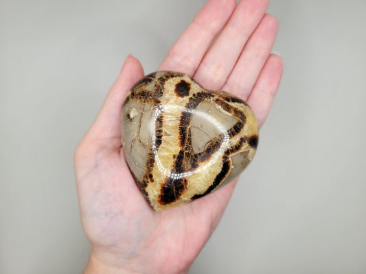 Septarian Heart