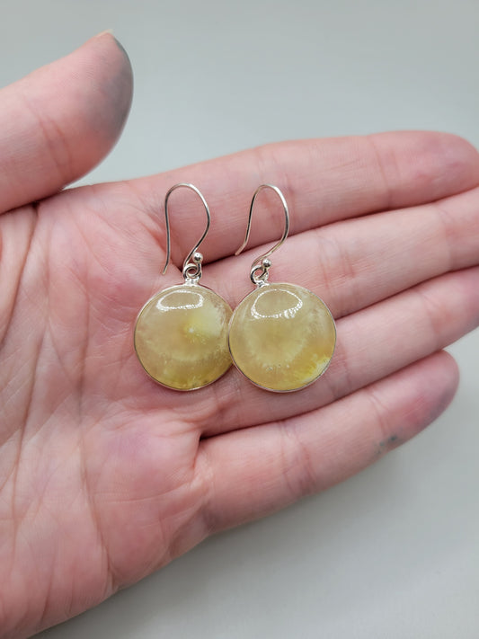 Prehnite Earrings