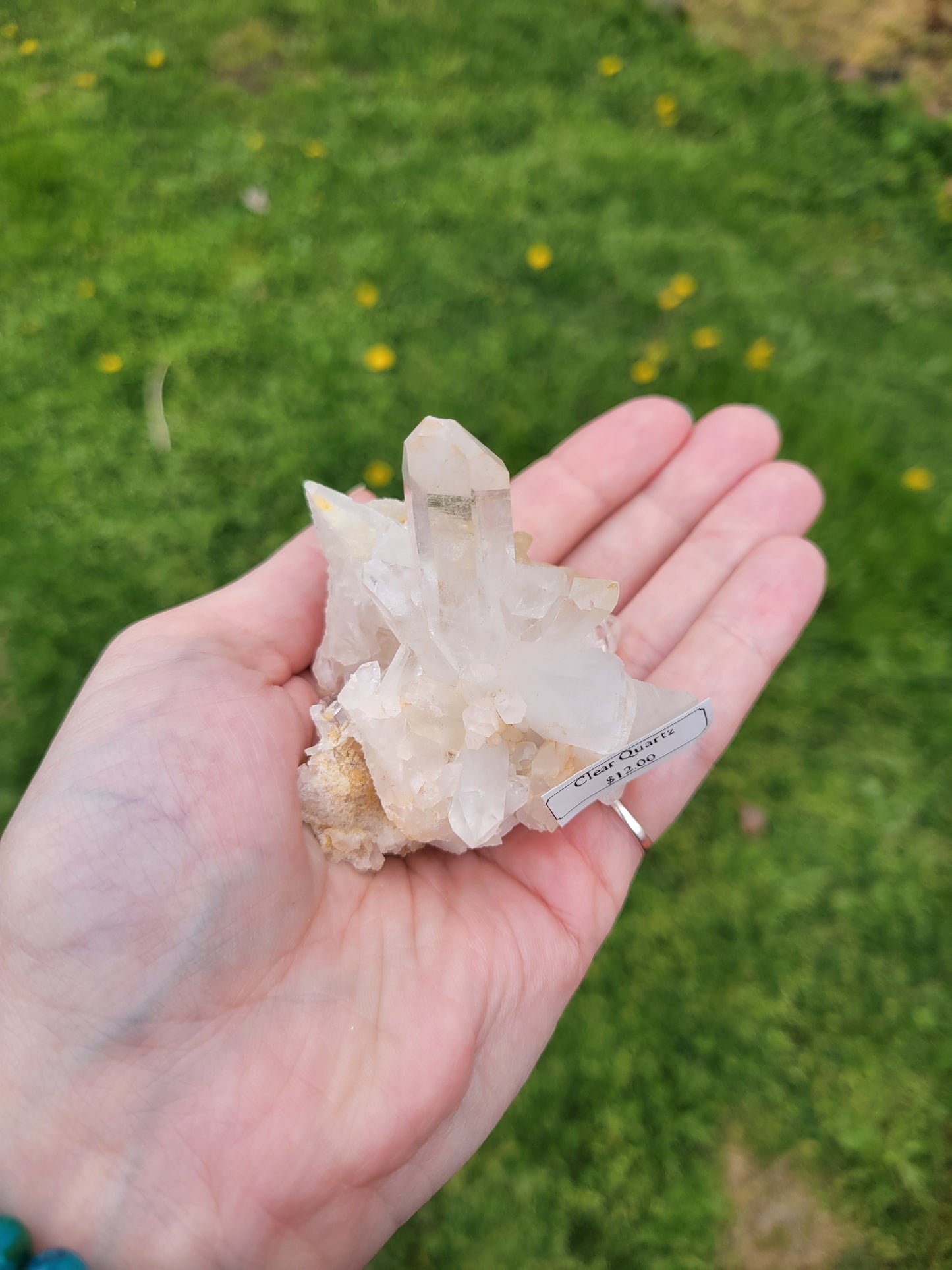 Clear Quartz Cluster