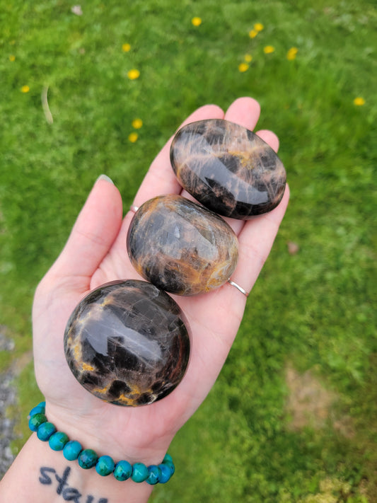 Black Moonstone Palm Stones