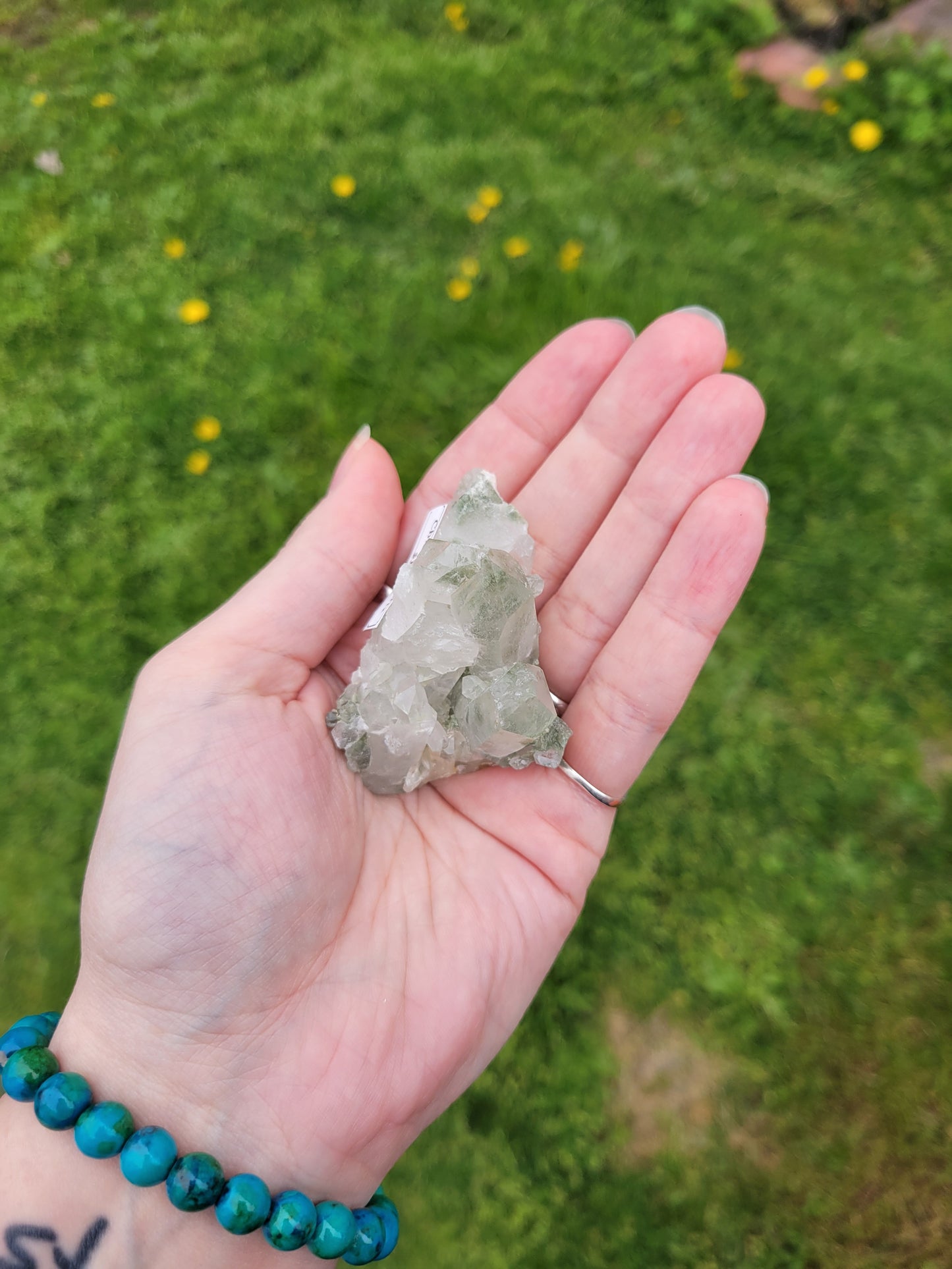 Chlorite Quartz