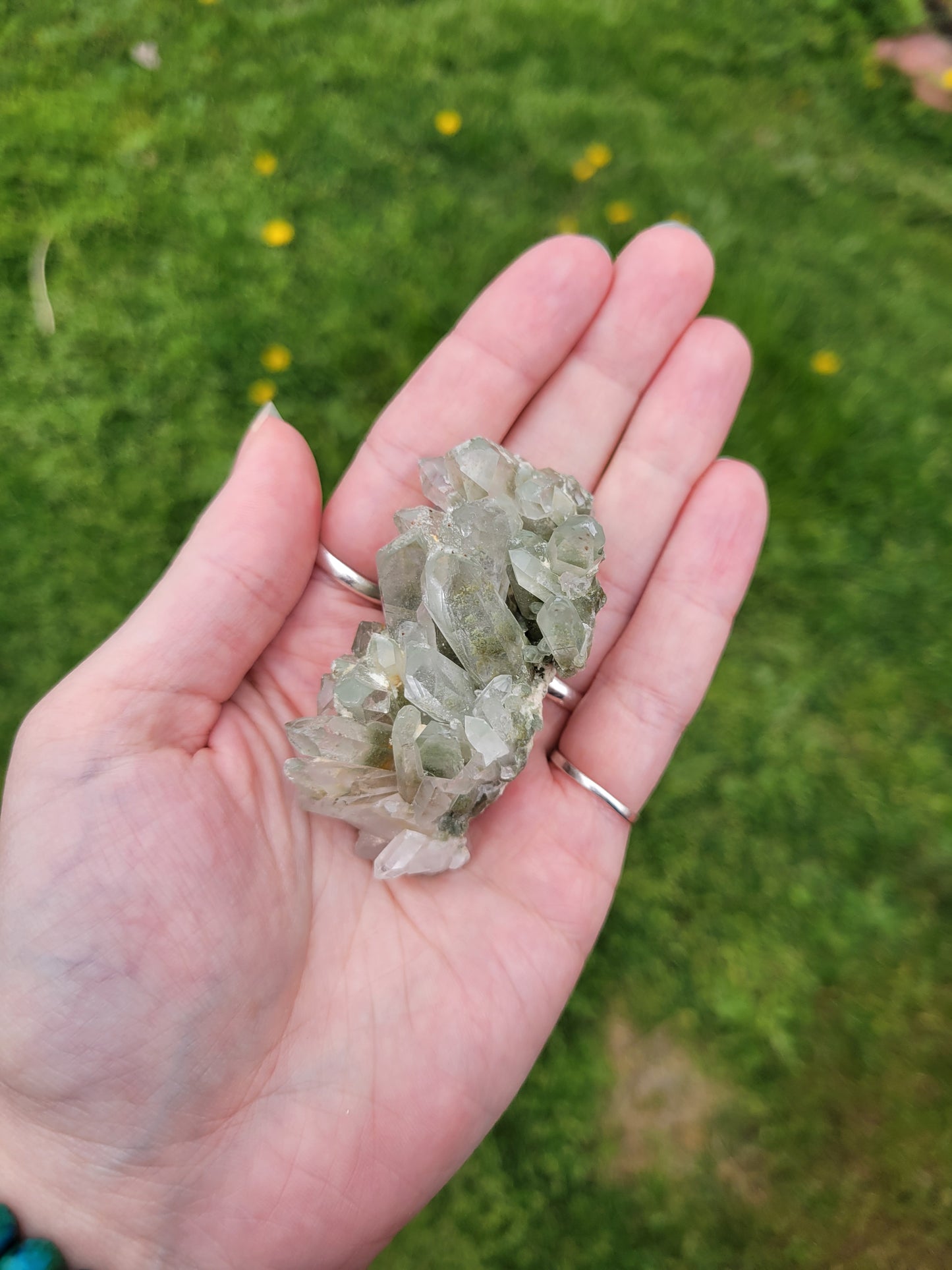 Chlorite Quartz