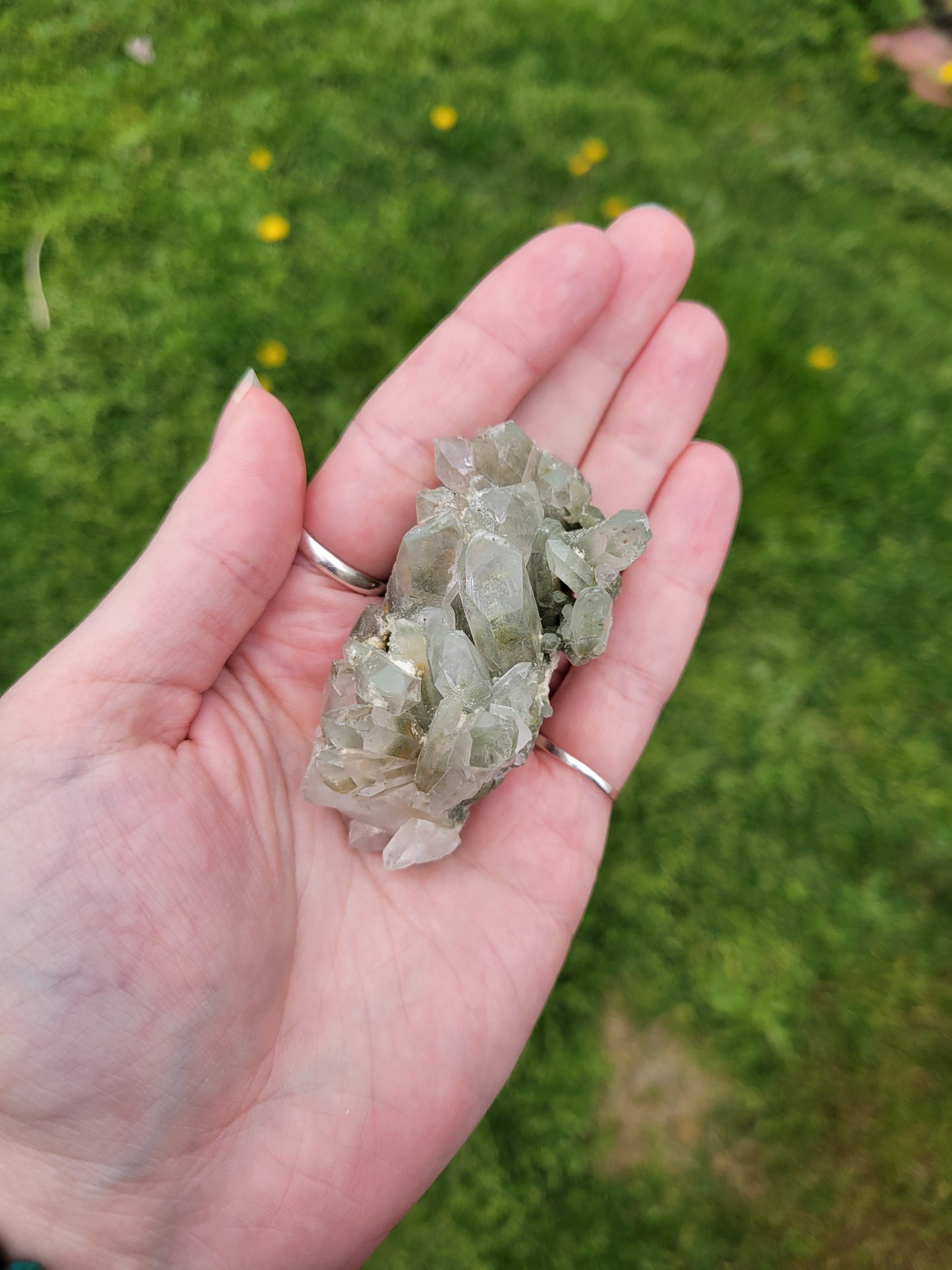 Chlorite Quartz