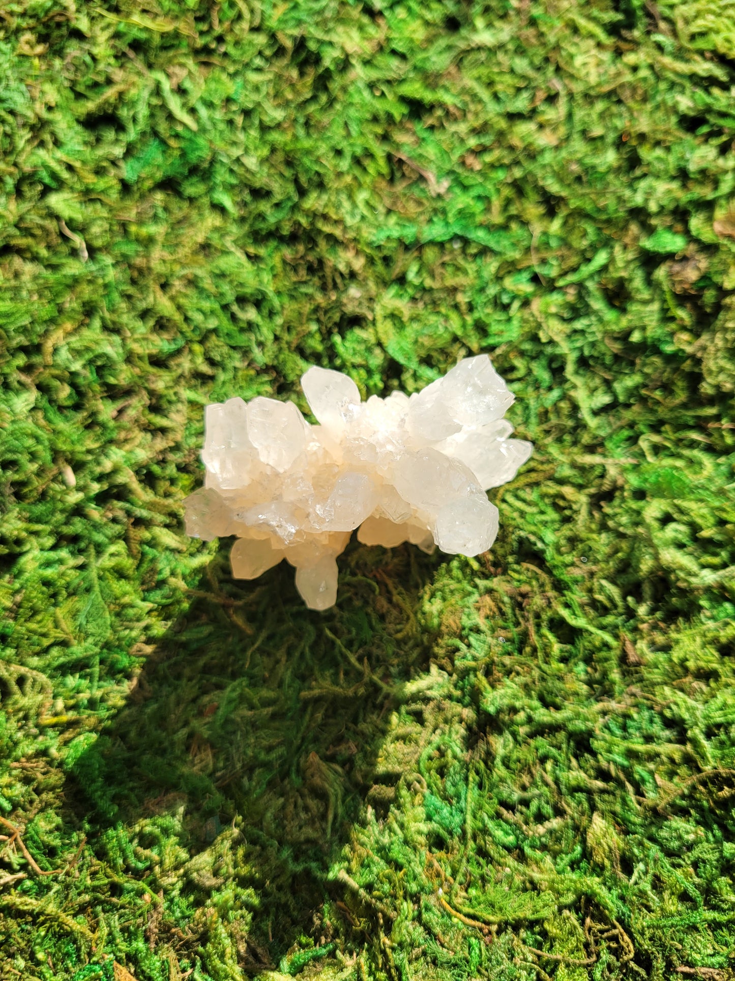 White Aragonite Cluster