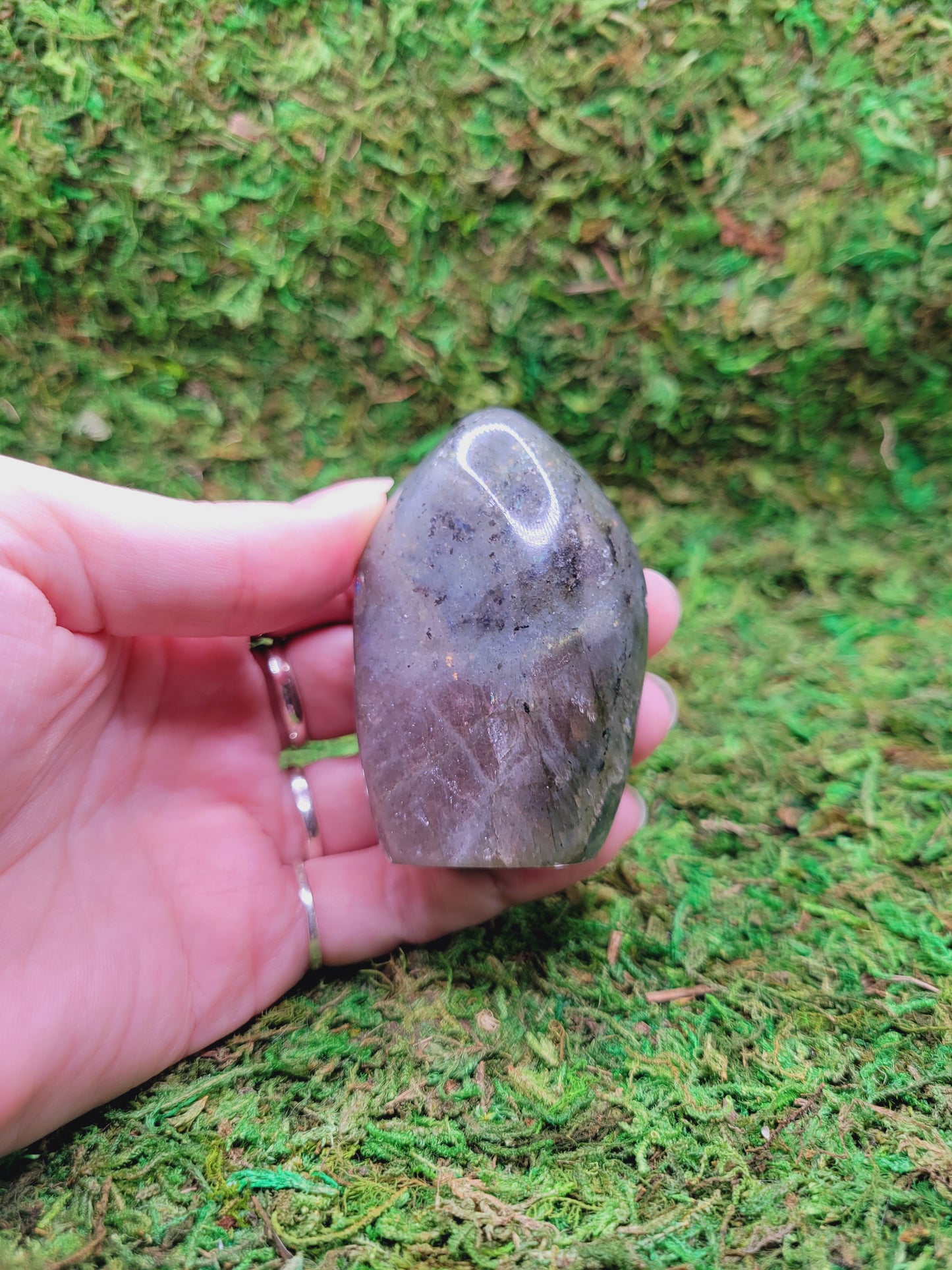 Labradorite Mini Freeform - Pink