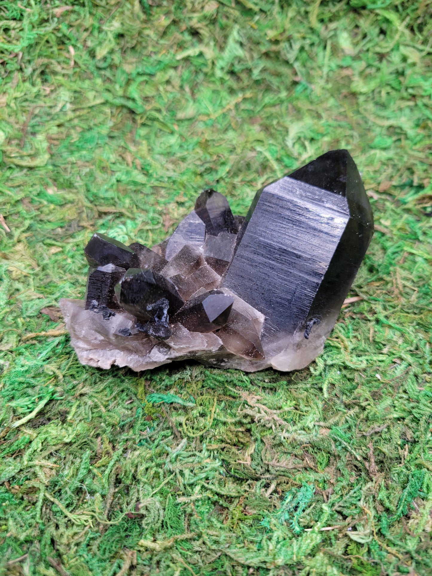 Smoky Quartz Cluster
