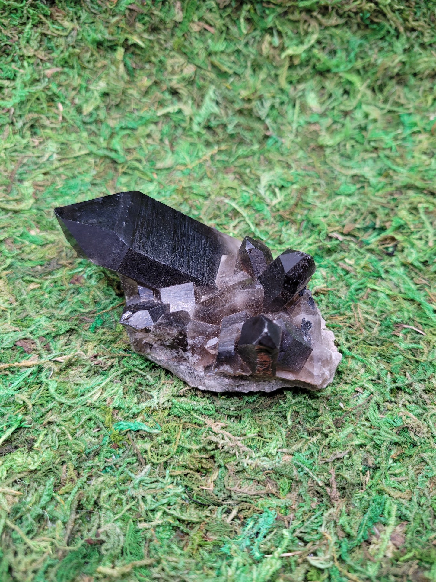 Smoky Quartz Cluster