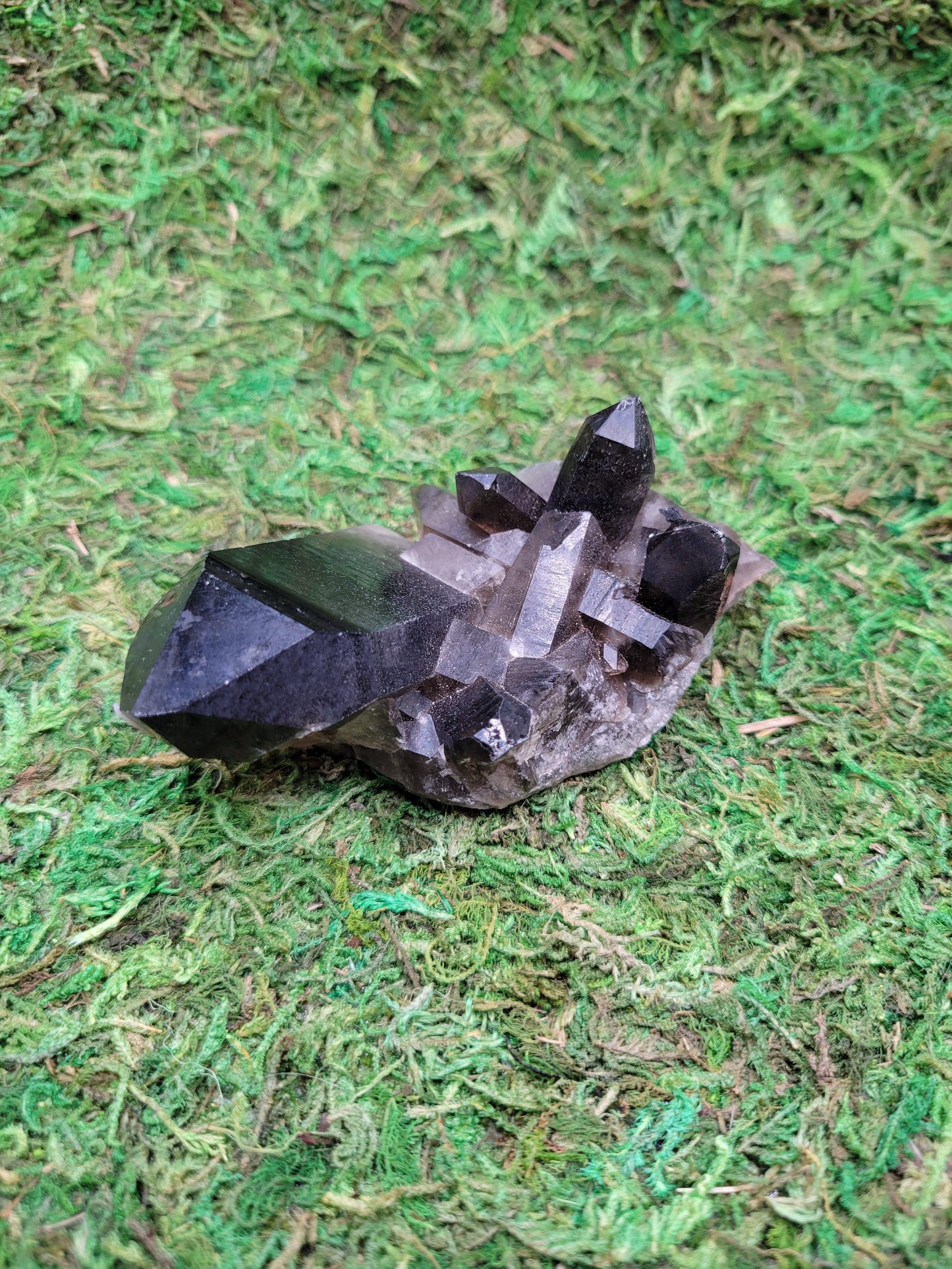 Smoky Quartz Cluster