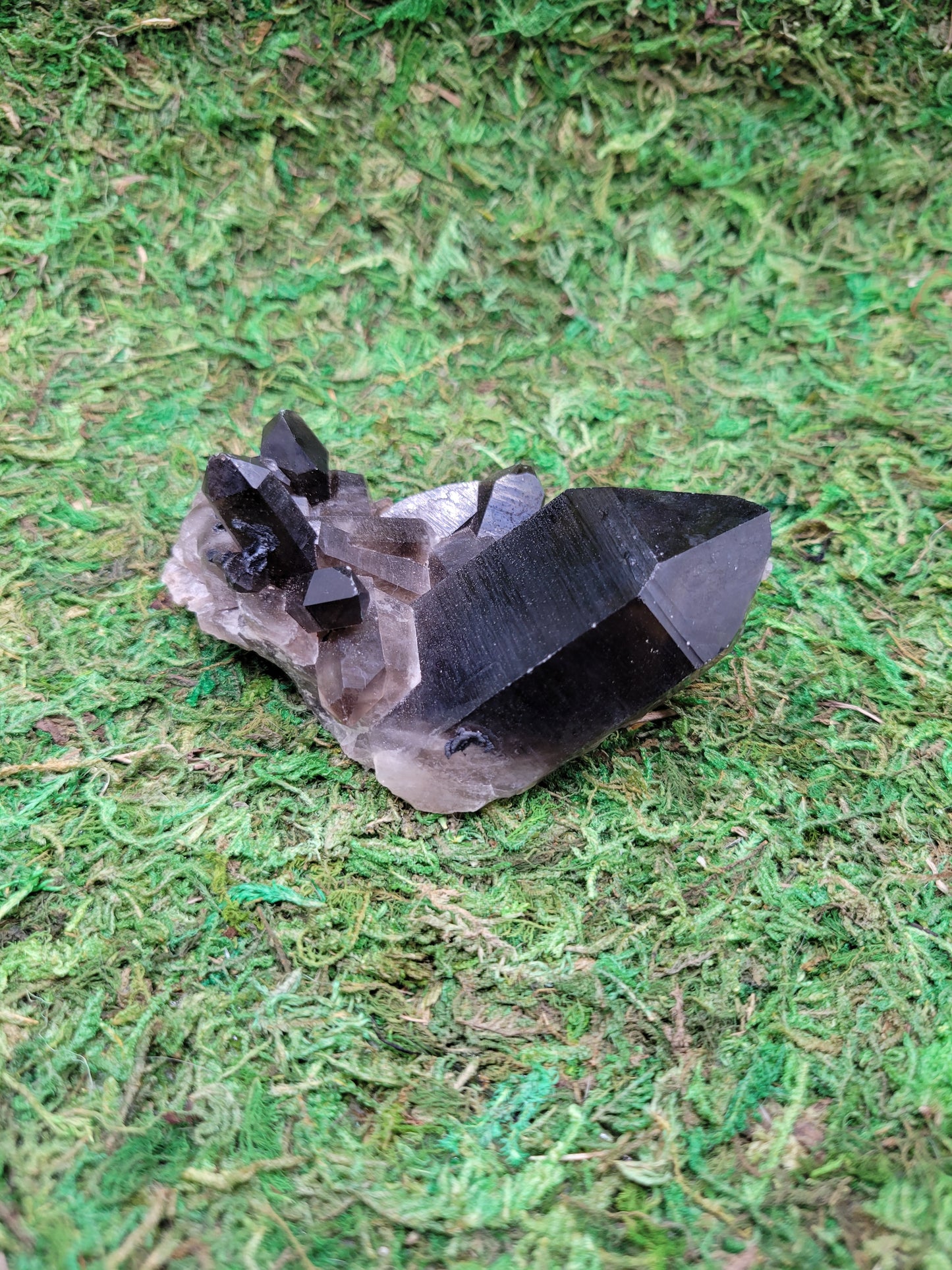 Smoky Quartz Cluster