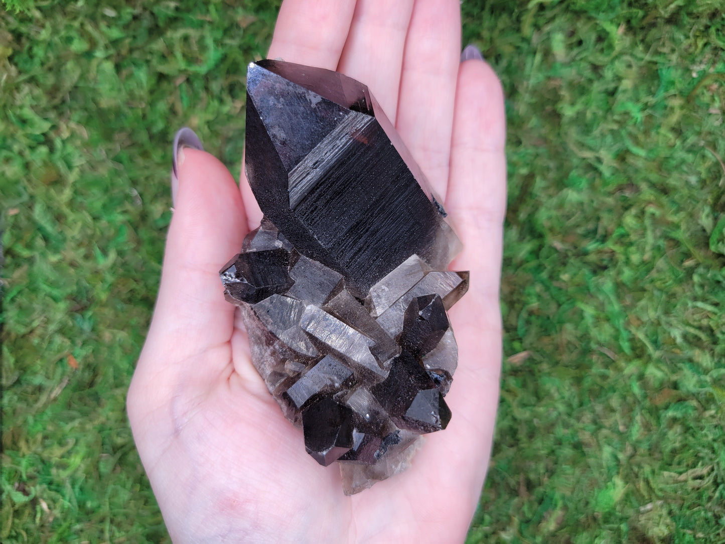 Smoky Quartz Cluster