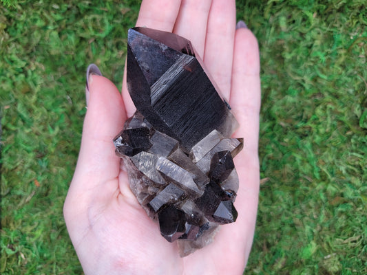 Smoky Quartz Cluster