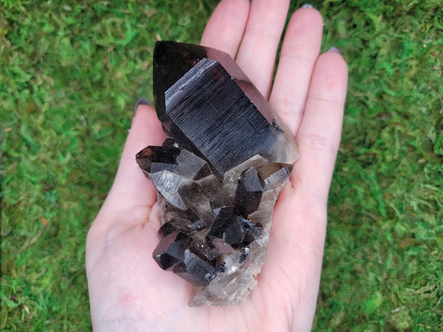 Smoky Quartz Cluster