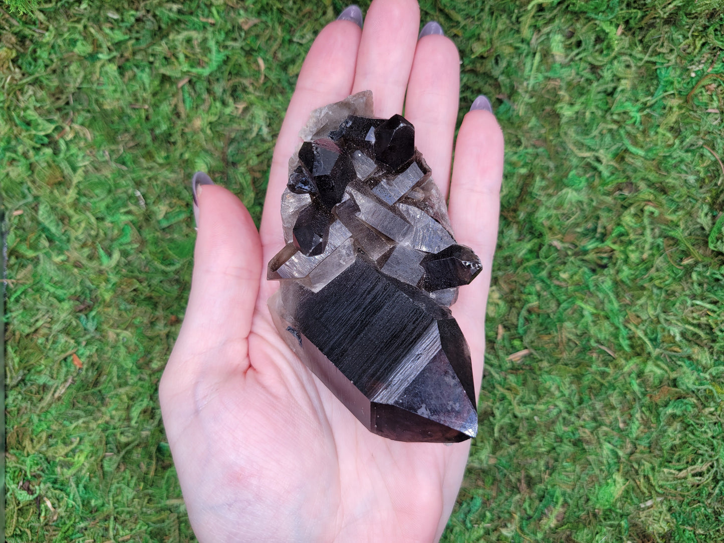 Smoky Quartz Cluster