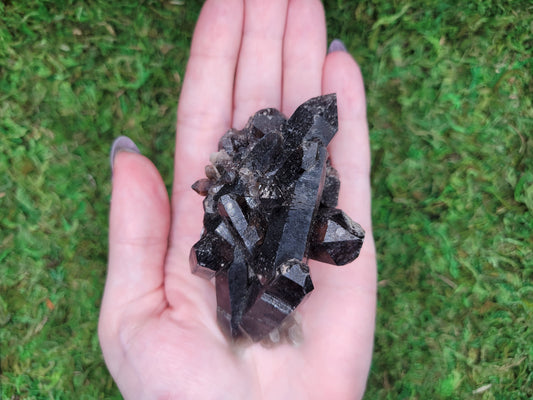Smoky Quartz Cluster