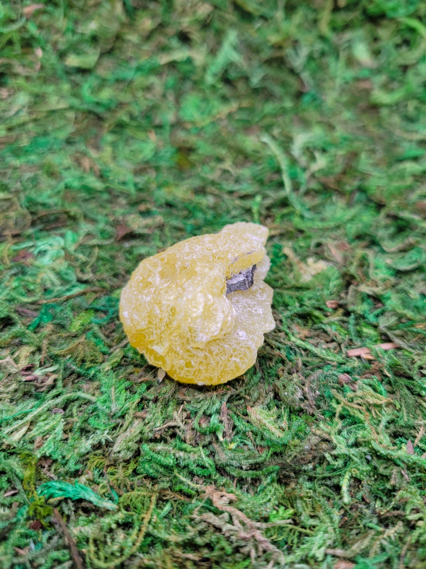 Brucite Cluster