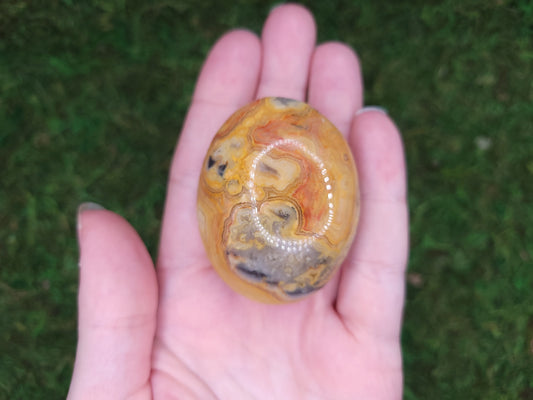 Crazy Lace Agate Palm Stone