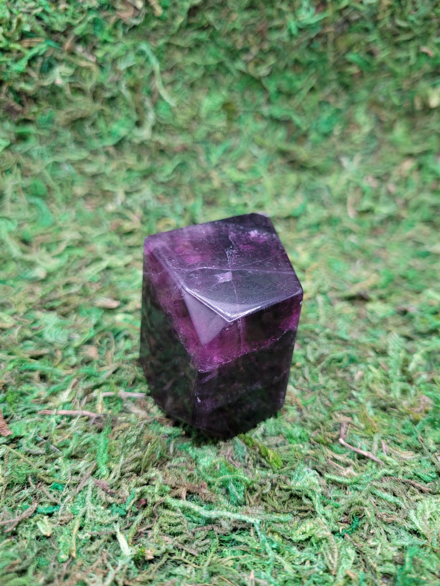 Rainbow Fluorite Freeform