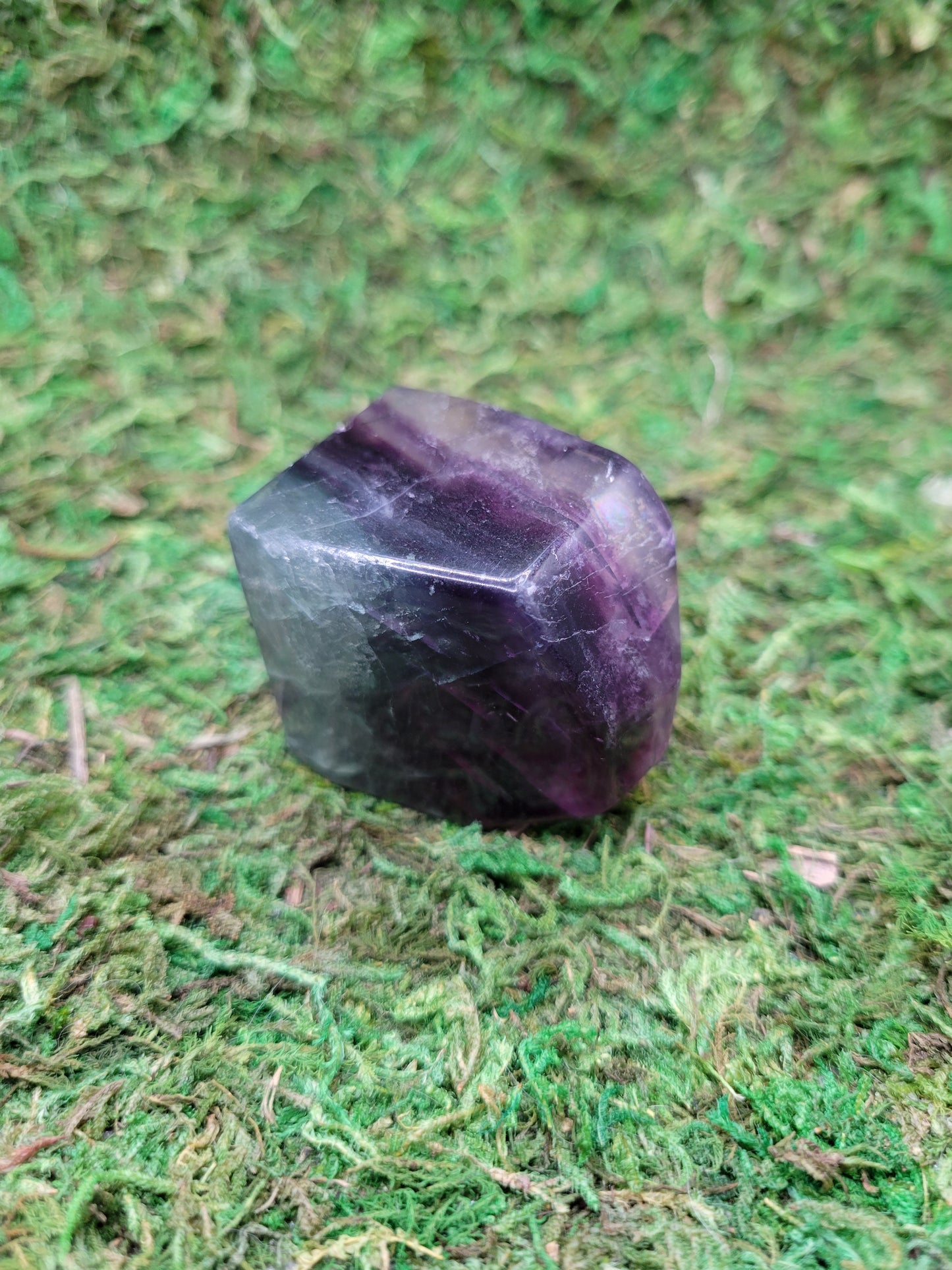 Rainbow Fluorite Freeform