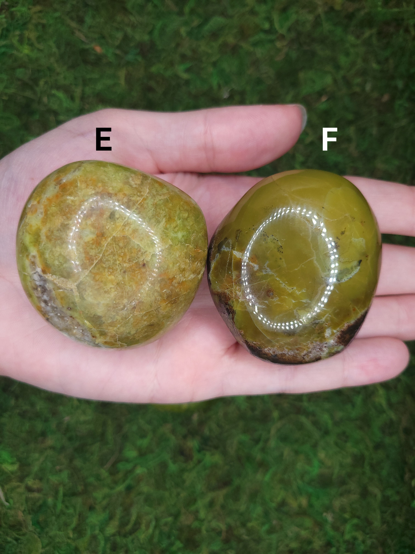 Green Opal Palm Stones